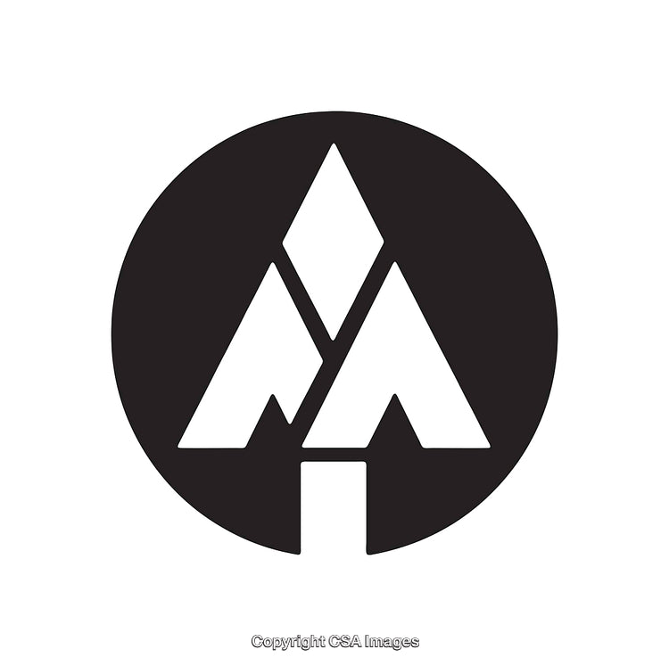 Abstract Geometric Monochrome Logo with Clean Lines and Shapes