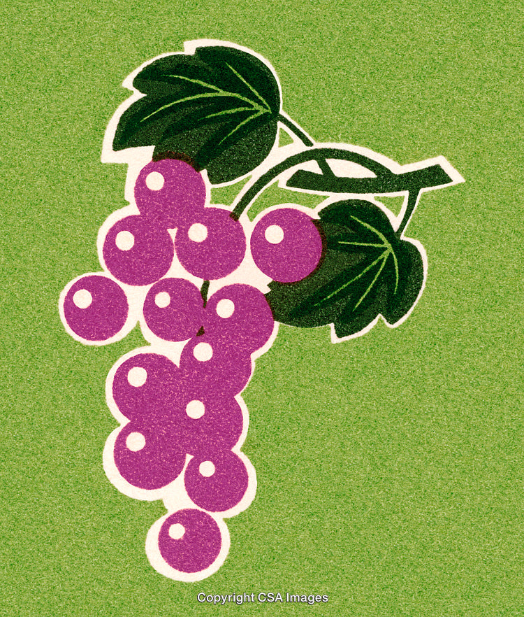 Vintage Illustration of Grapes on a Green Background with Bold Colors