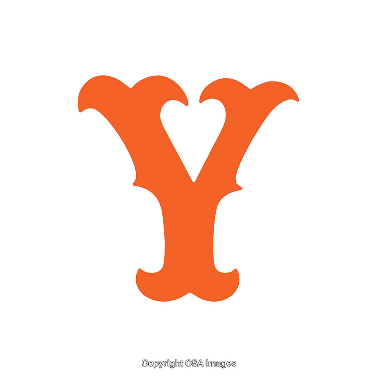 Orange Letter Y in Decorative Typeface on White Background