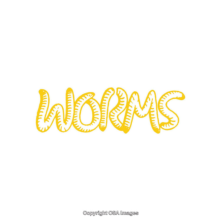 Yellow Worm-Inspired Typography on a Crisp White Background