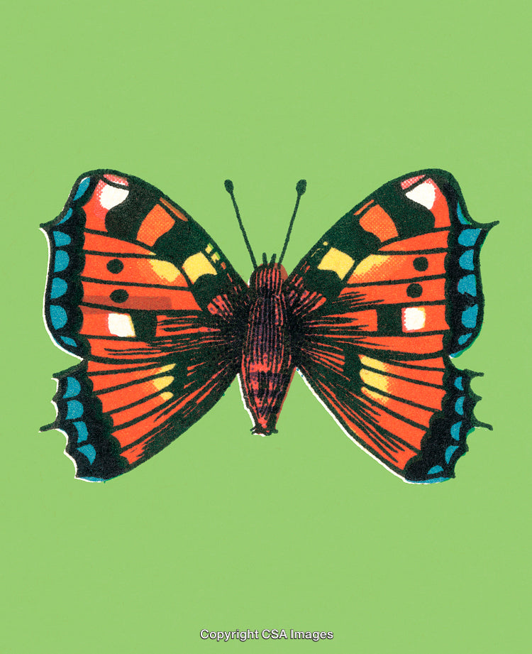 Colorful Butterfly Illustration with Vibrant Wings on a Green Background