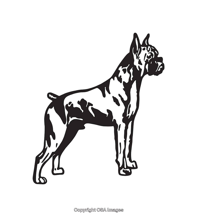 Black and White Illustration of a Standing Dog Facing Right