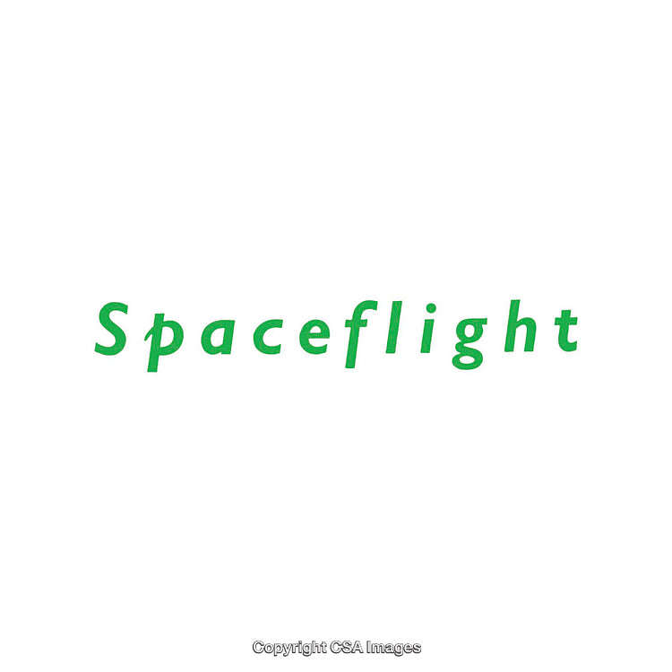 Green-Toned Spaceflight Logo on Minimal White Background With Stylish Font