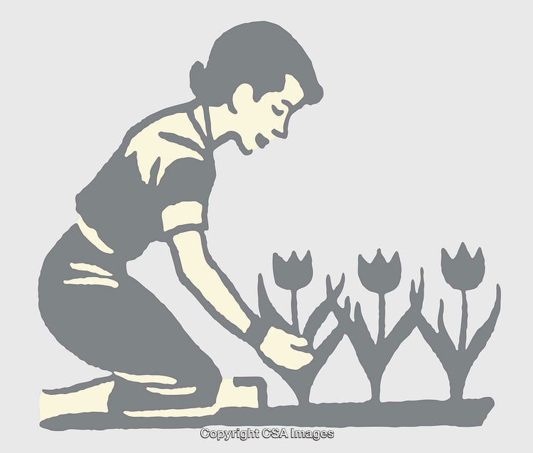 Illustration of a Person Gardening with Tulips in a Flower Bed