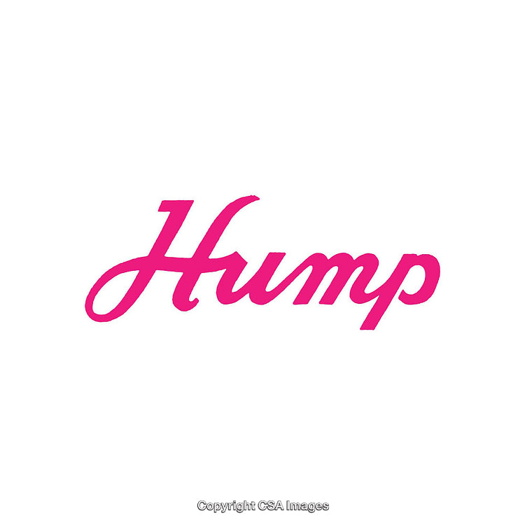 Stylish Pink Script Font on White Background