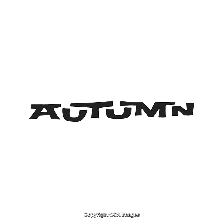 Stylized Typography Design Featuring the Word 'Autumn' in Unique Artistic Font