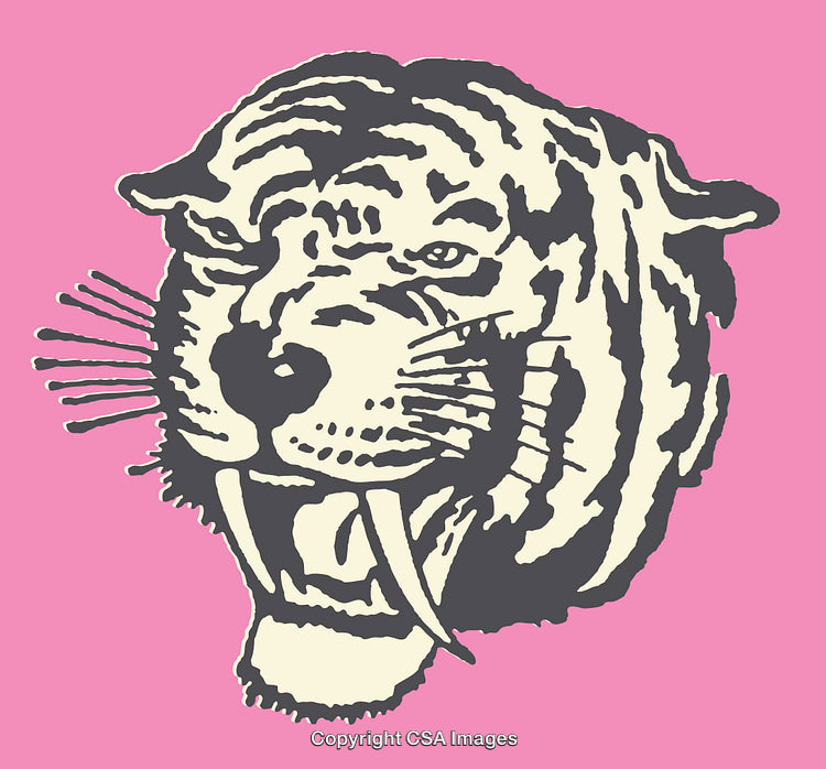 Stylized Roaring Saber-Toothed Tiger Line Art on Pink Background