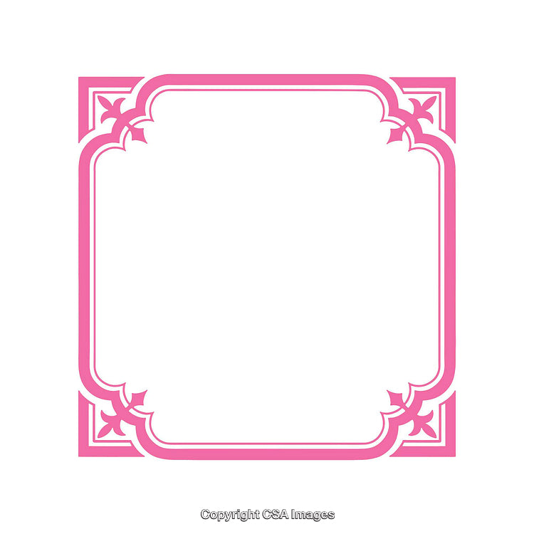 Elegant Pink Decorative Border Design With Floral Accents on a White Background