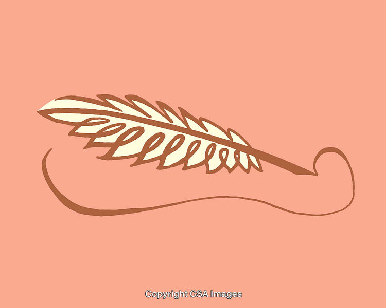 Minimalist Illustration of a Feather on a Coral Background
