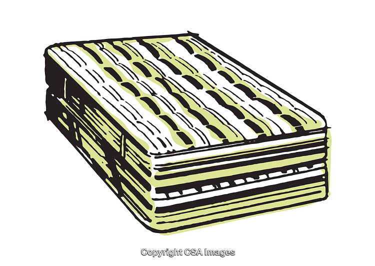 Hand-Drawn Illustration of a Detailed Accordion Design