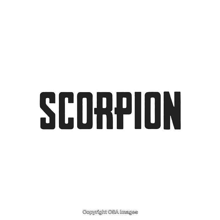 Bold Black Text Design of the Word Scorpion on a White Background