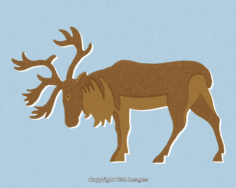 Illustrated Caribou in Profile with Abstract Simplistic Design on Blue Background