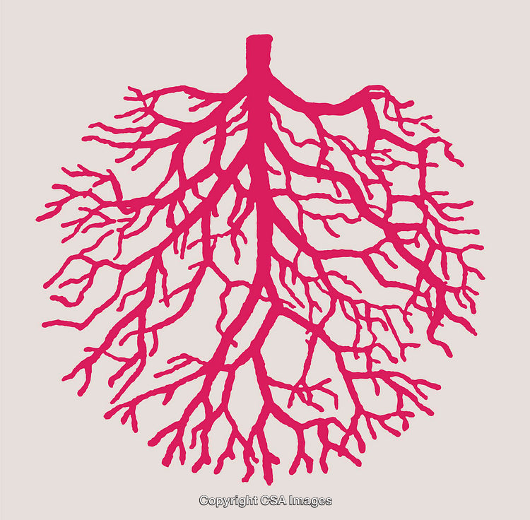 Intricate Pink Tree-Like Abstract Art with Organic Branching Patterns
