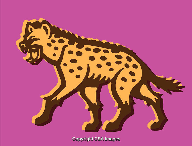 Colorful Illustration of a Hyena on a Vibrant Purple Background