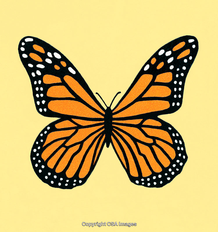 Beautiful Monarch Butterfly Illustration on a Light Background
