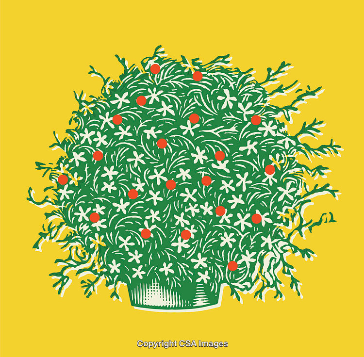 Vibrant Green Plant in A Decorative Pot on Bright Yellow Background