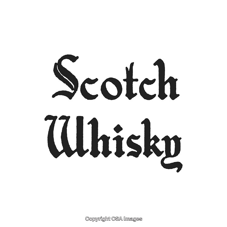Scotch Whisky Text in Gothic Calligraphy Style on White Background