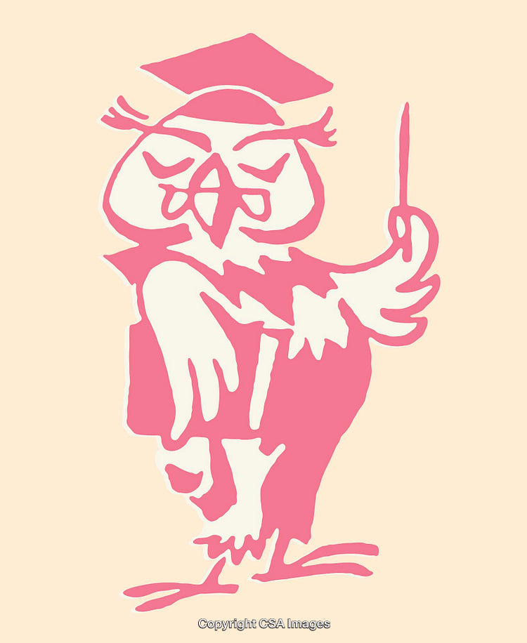 Cartoon Illustration of a Wise Owl in Academic Robes Holding a Pointer Stick