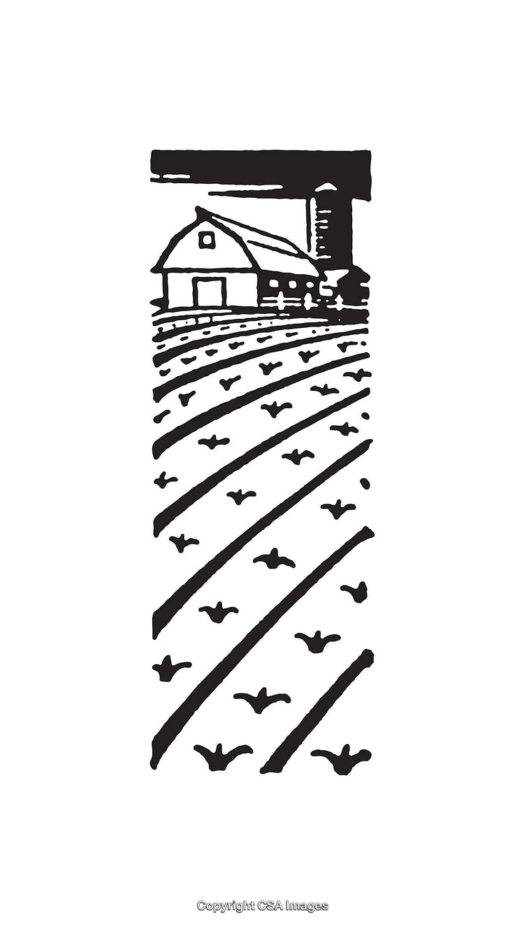Black and White Line Art Illustration of a Farm with Fields