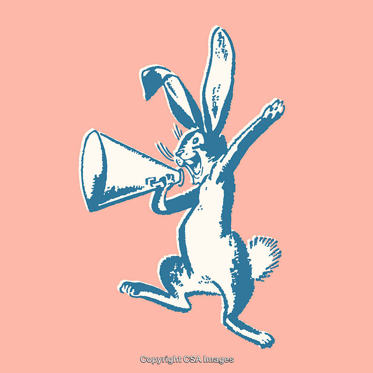 Playful Rabbit Illustration With a Megaphone on Pink Background