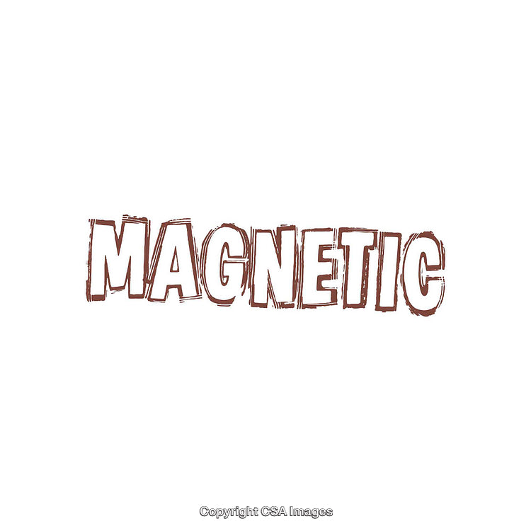 Stylized Text Depiction of the Word Magnetic in Artistic Font Design