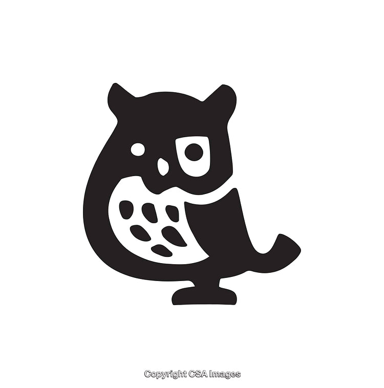 Stylized Black And White Owl Illustration for Design and Decoration Purposes