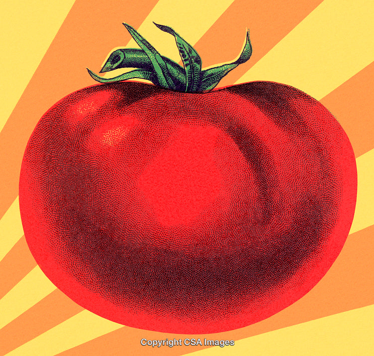 Digital Artwork of a Vibrant Red Tomato with Graphic Style