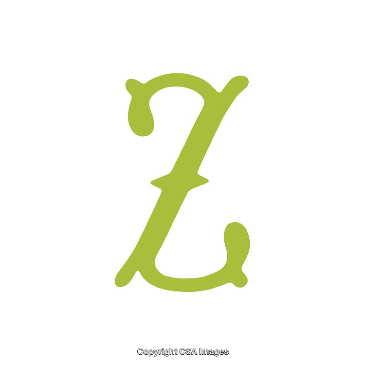 Green Calligraphic Letter Z on White Background for Decoration or Design