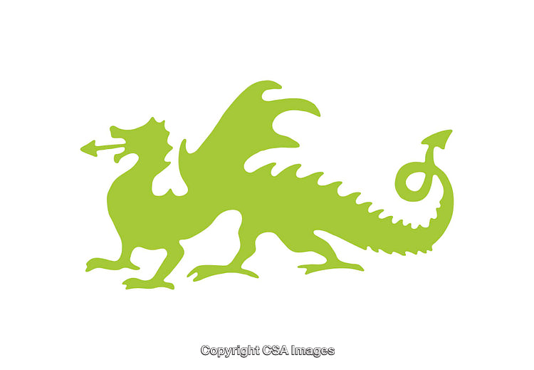 Green Dragon Silhouette Icon on a White Background