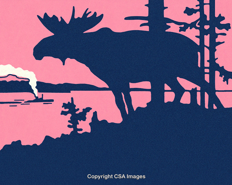 Silhouetted Moose in Forest Landscape with Colorful Sky