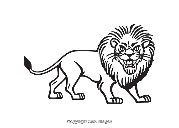 Black and White Line Art Illustration of a Majestic Lion Roaring