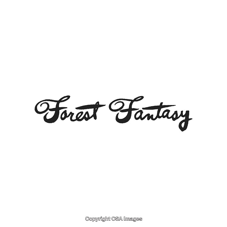 Elegant Script Title Forest Fantasy with Handwritten Black Font
