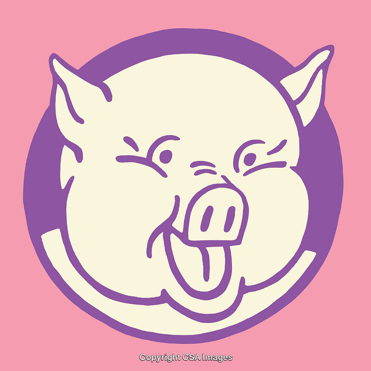 Playful Pig Illustration in Modern Minimalist Line Art Style