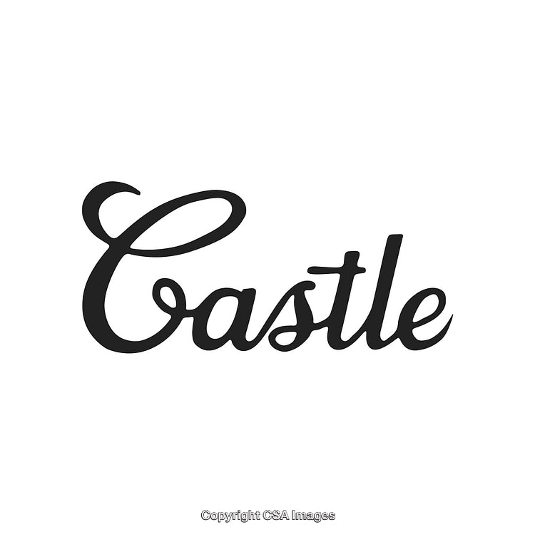Elegant Calligraphy Text Design Featuring the Word 'Castle' in Classic Black Font