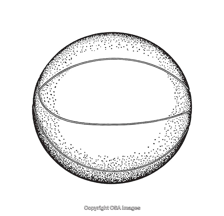 Black and White Line Art Illustration of a Basketball with Minimalist Design