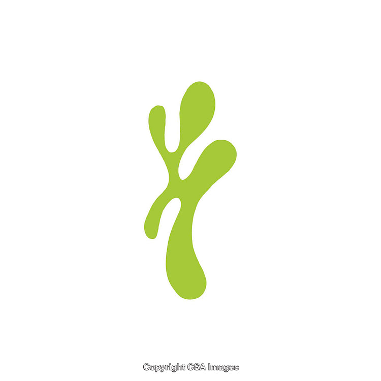 Abstract Green Shape with Fluid Organic Design on White Background