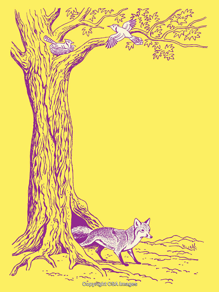 Illustrated Fox and Birds in Tree Illustration on Bright Background