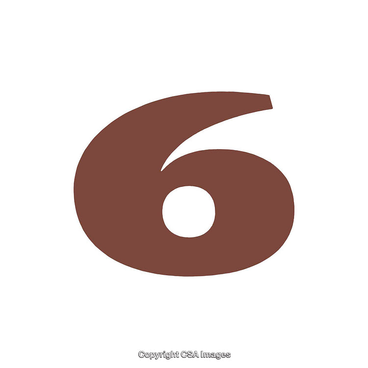 Large Brown Number Six on a Clean White Background