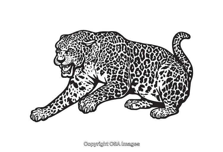 Black and White Line Art Illustration of a Fierce Leopard