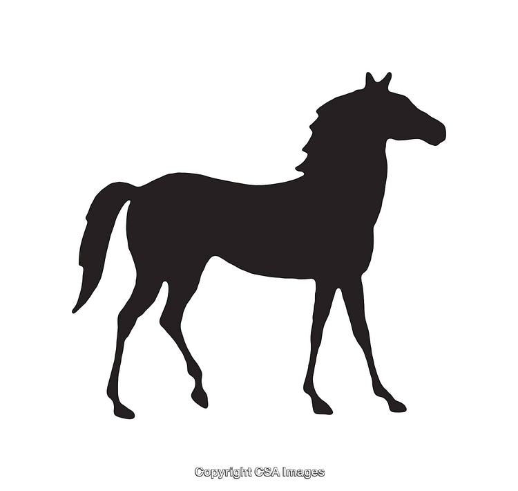 Silhouette of a Horse Standing on a White Background