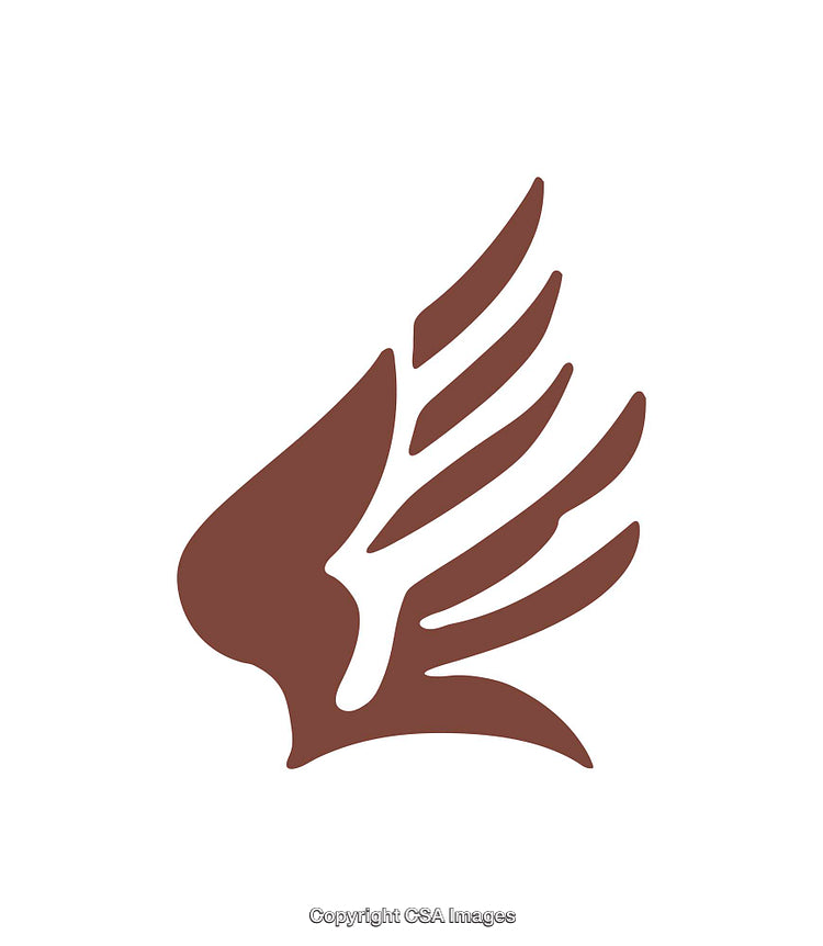 Minimalist Brown Winged Feather Icon with Clean Design