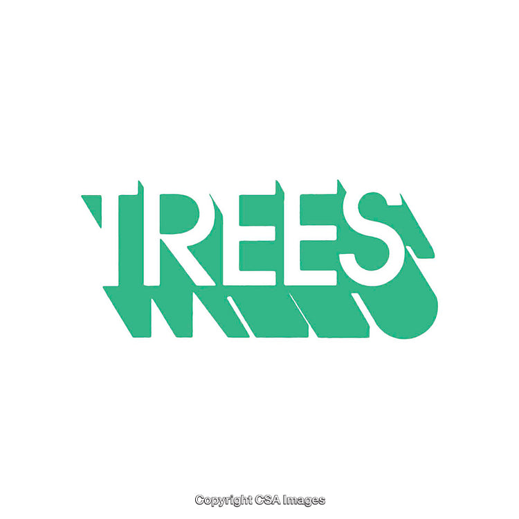 Minimalistic Green Typography with Shadow Effect for Clean Design