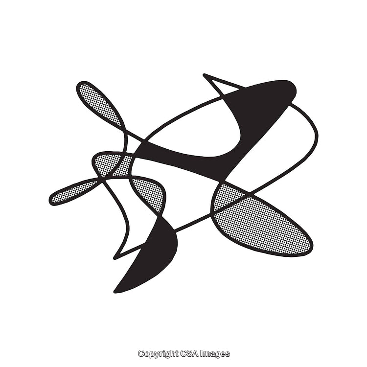 Abstract Black and White Geometric Dingbat Shape on White Background