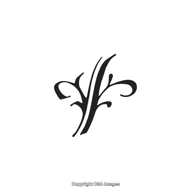 Elegant Black And White Decorative Flourish Design Ornament Illustration