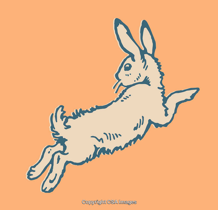 Vintage Style Rabbit Line Art Illustration on Light Pastel Background