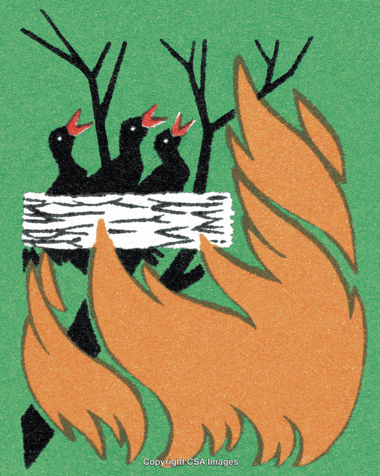 Bird's Nest in a Burning Tree