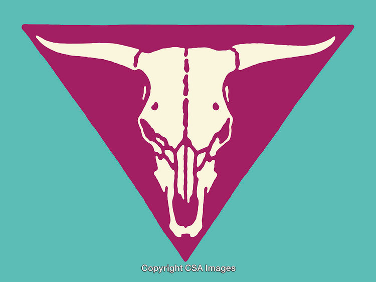 Minimalist Longhorn Skull Artwork in Triangle Design with Vibrant Color Palette