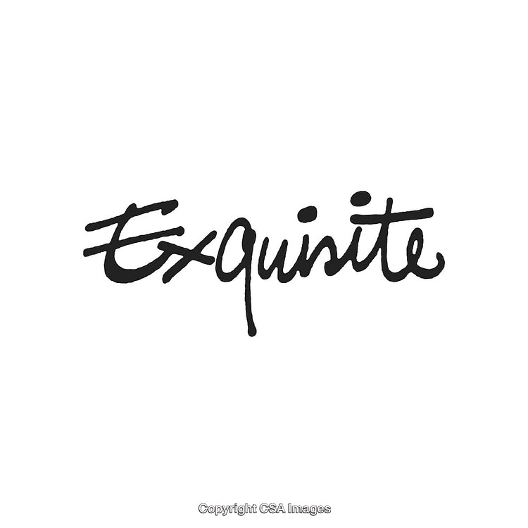 Elegant Handwritten Word 'Exquisite' in Stylish Black Ink on White Background