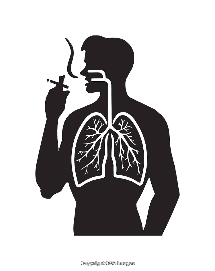 Silhouette Showing Smoking Effects on Human Lungs and Respiratory System