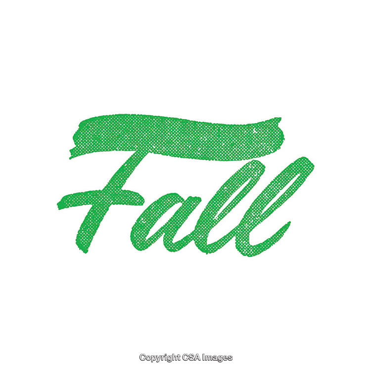 Green Brushstroke Over Emphasized Fall Text in Modern Typography Design